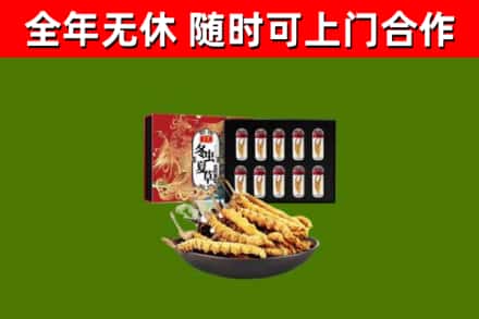 坪山区回收冬虫夏草价格